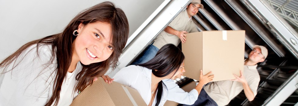 Professional Removalists Lenswood
